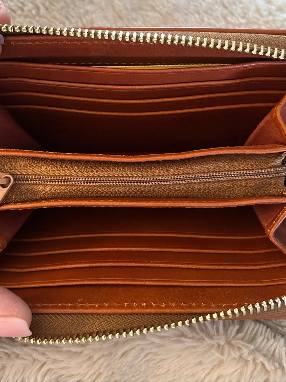 Dooney and Bourke Concord Wallet